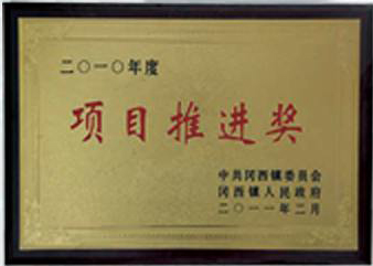 2010年度項目推進獎